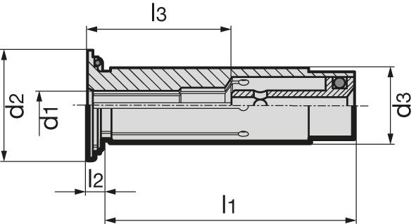 pre228007.jpg