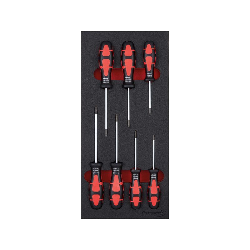 Modulo destornilladores  Torx 1/3 FORMAT