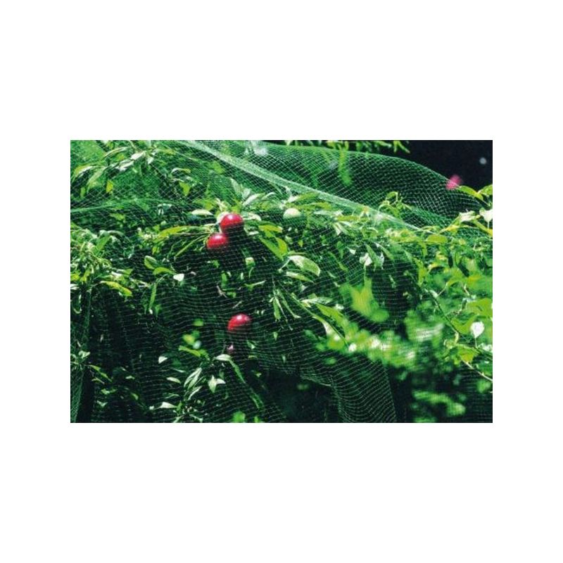 MALLA ANTI-PAJARO 4X12MT NATUUR PL VER                      