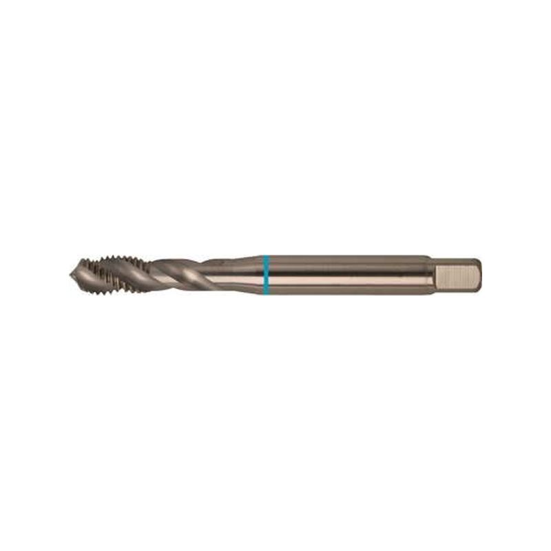 Machos roscar a maquina DIN371 HSSE tipo INOX 6GM6 FORMAT