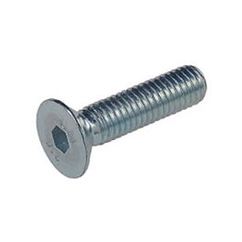 TORNILLO ALLEN 7991 10.9 06x020MM PAVON. FONTANA 200 PZ