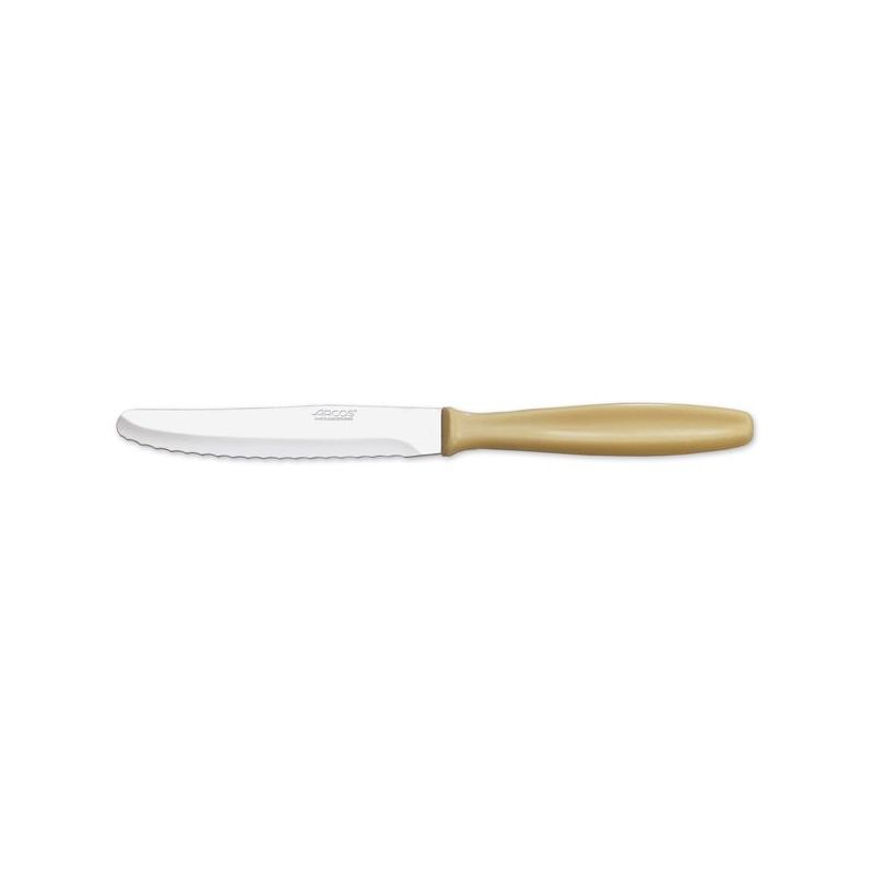 CUCHILLO COC POSTRE 105MM M/POLIP BEI INOX ARCOS 370100