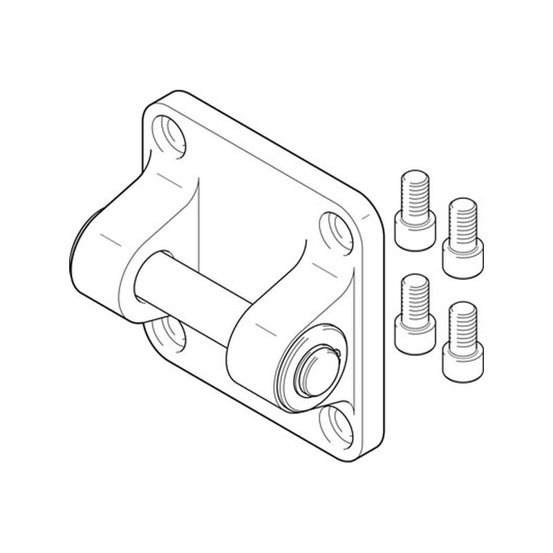 BRIDA BASCUL. SNGB-320
