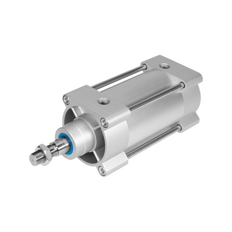 CIL. NORMALIZ. DSBG-100-50-PPSA-N3