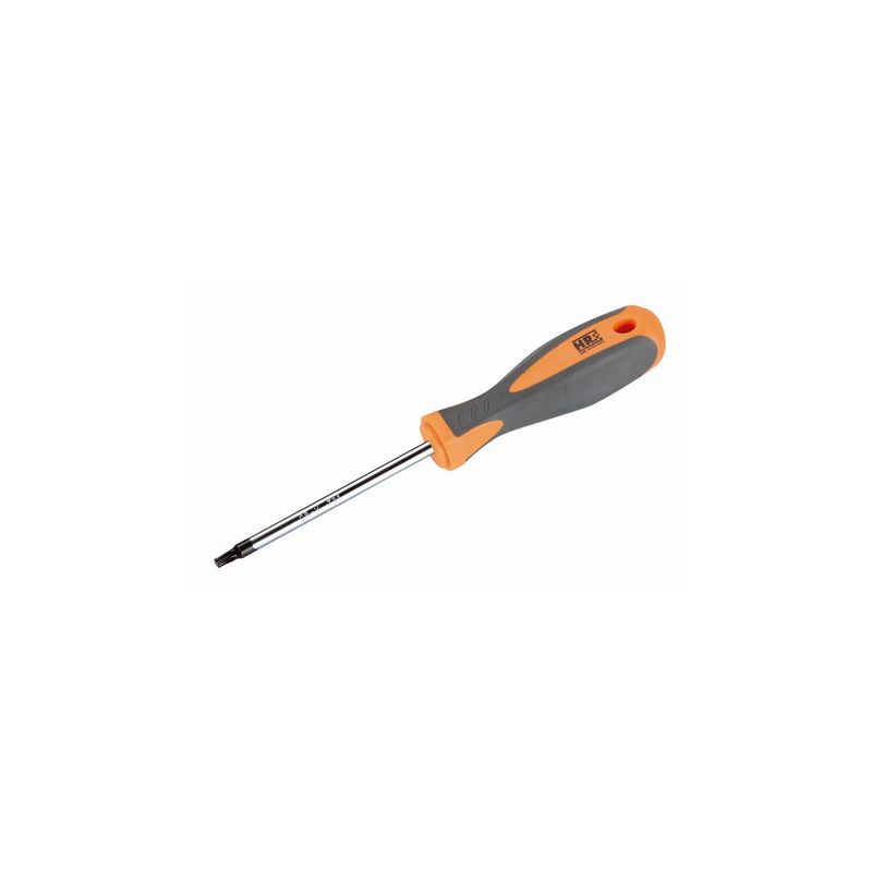 DESTORNILLADOR TORX HR T25x100