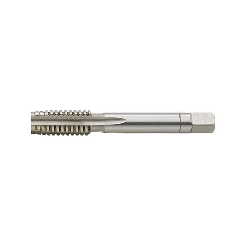 Broca macho man.D2184HSS W5/ 8Z jgo FORMAT