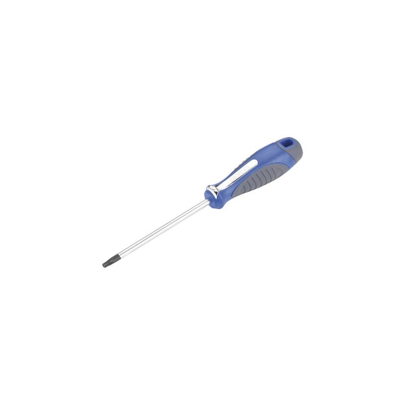 DESTORNILLADOR TORX INVIOLABLE T10x80 MM