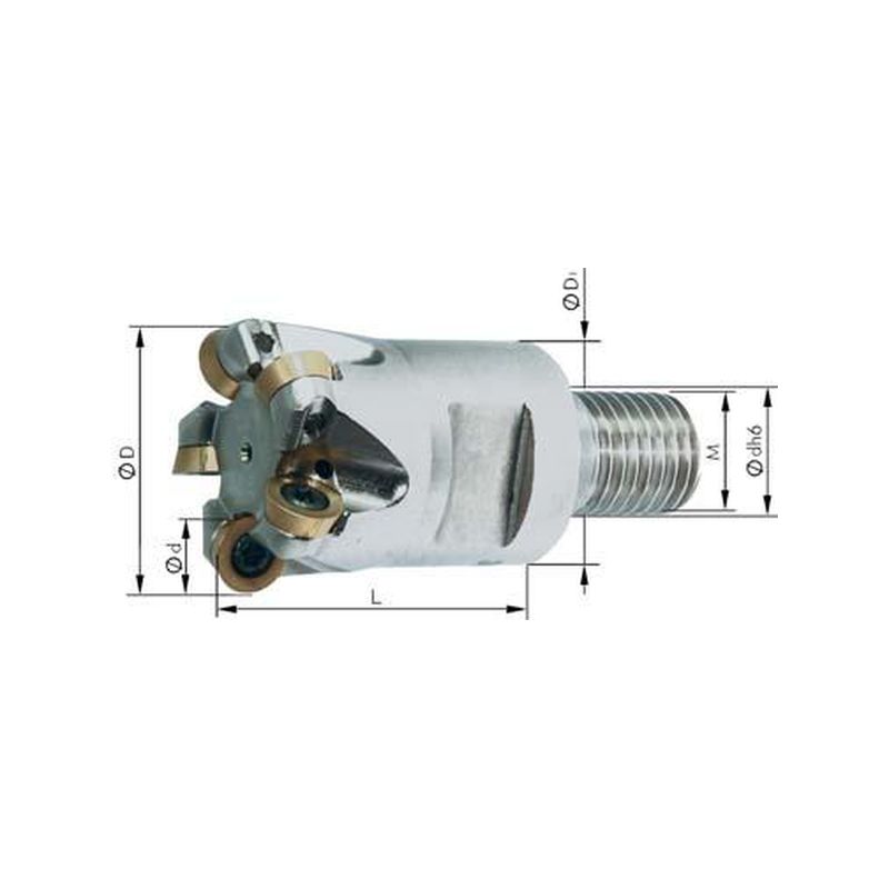 Fresa atornillable con   rosca exterior M12, conrefrigeración interior,2 dientes, para RD
