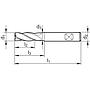 pre226915.jpg